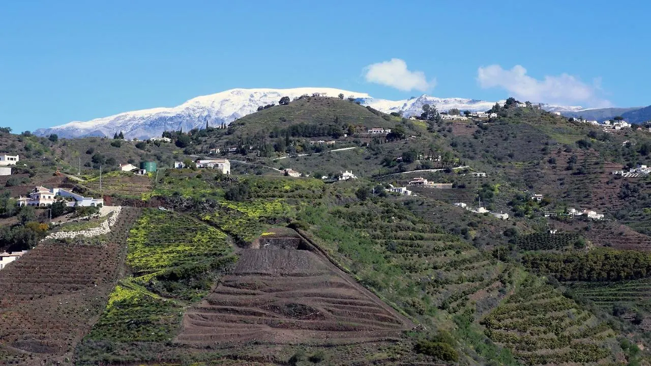 Hébergement de vacances Finca El Regalo Cómpeta